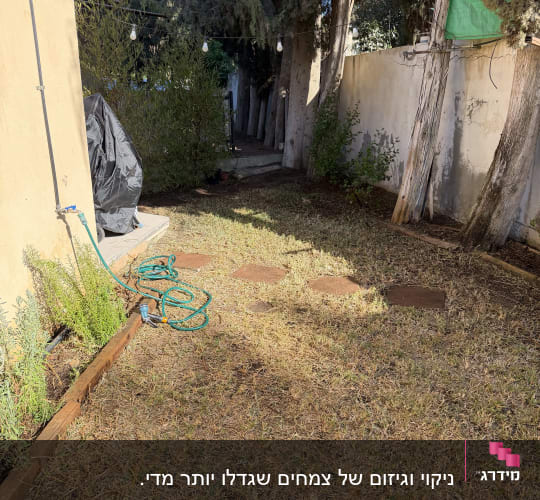 מדשאה יבשה וחצר בית פרטי עם צינור השקיה